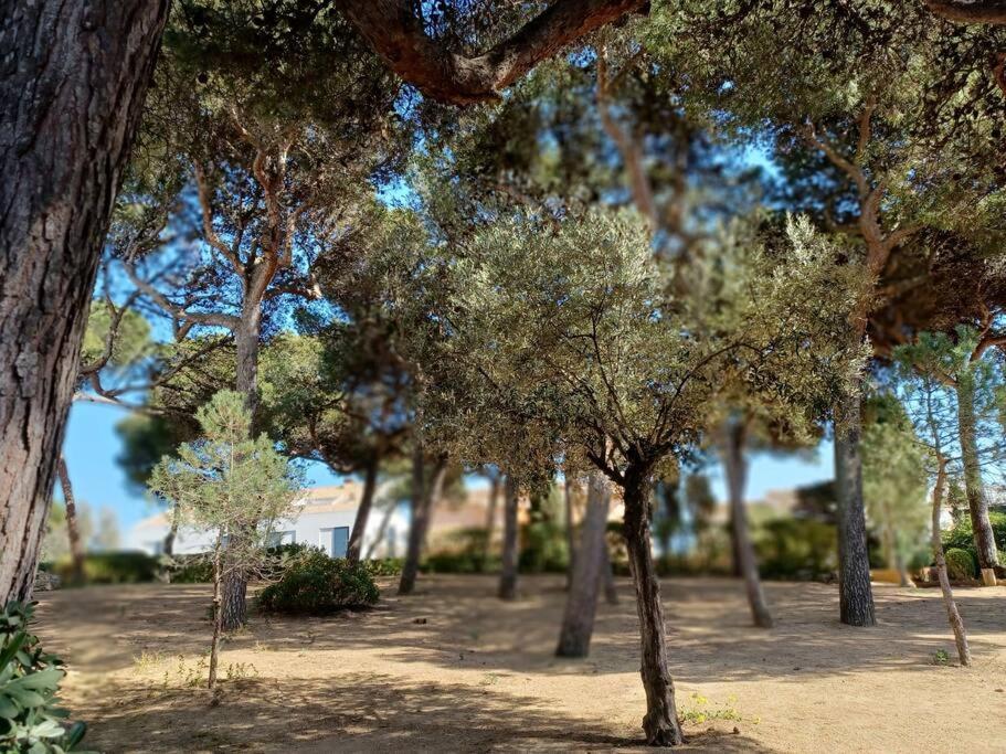 Apartamento Roc Mar リャフラン エクステリア 写真