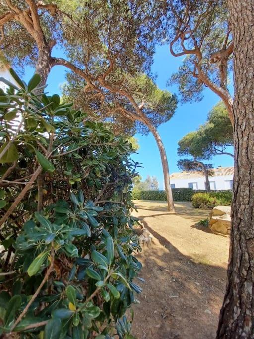 Apartamento Roc Mar リャフラン エクステリア 写真
